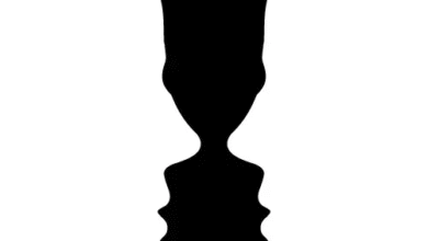 اصول گشتالت در اتاق درمان (کاربرد 11 اصل گشتالت درمانی در اتاق درمان) 9 گشتالت درمانی